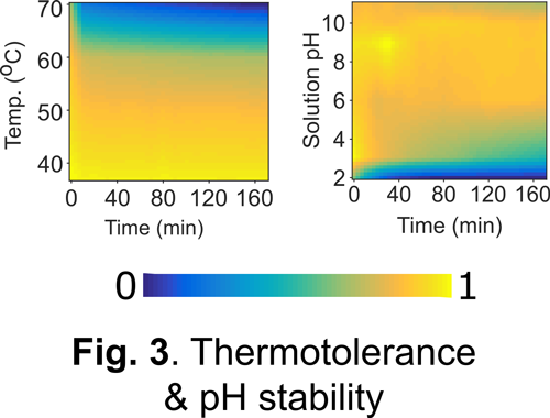 Thermotolerance & pH stability